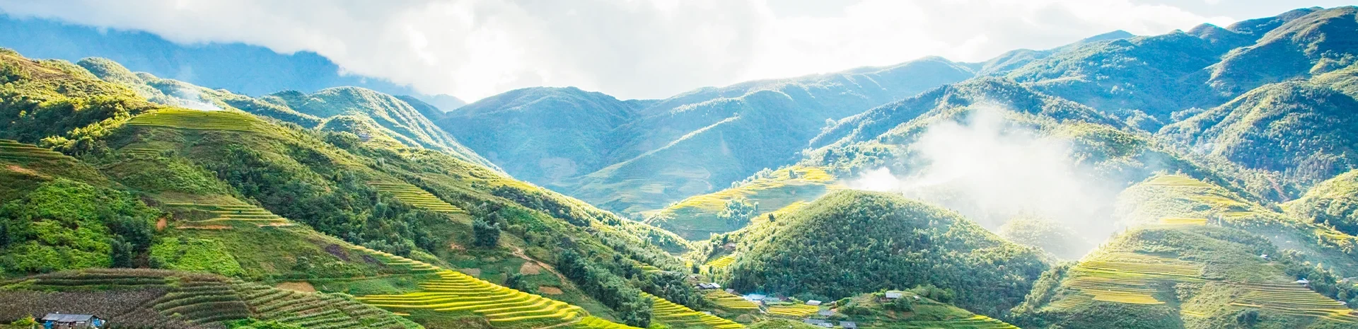 Sapa