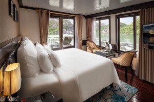 Paradise Luxury Cruise 3 Days 2 Nights Terrace Suite Single Cabin