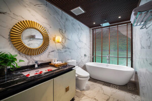 Senior Suite image 2