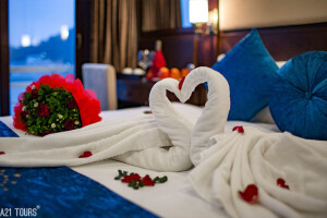 Alisa Cruise 2 Days 1 Nights Senior Suite 