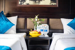 Family connecting Cabins image 2