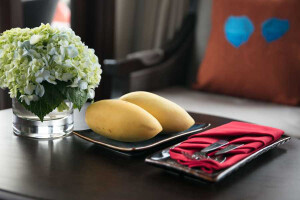 Terrance Suite image 2