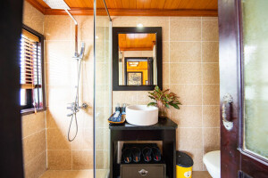 Deluxe Triple image 2