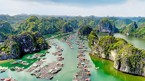 From Cat Ba town: Lan Ha bay cruise and Monkey island day tour