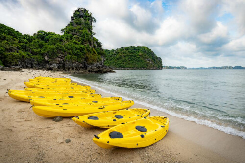 Bai Tu Long Bay Swan cruise 2 days 10