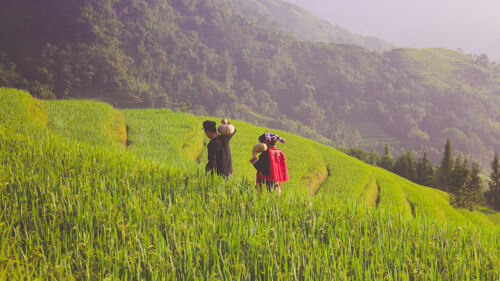 From Hanoi: Sapa 03 Days tour (02 nights in the hotel in Sapa Town)