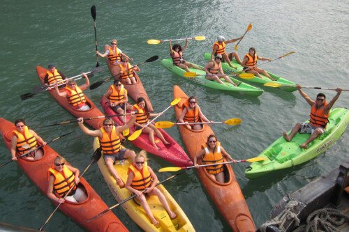 Sealife Cruise Halong Bay 2 Days 1 night 10