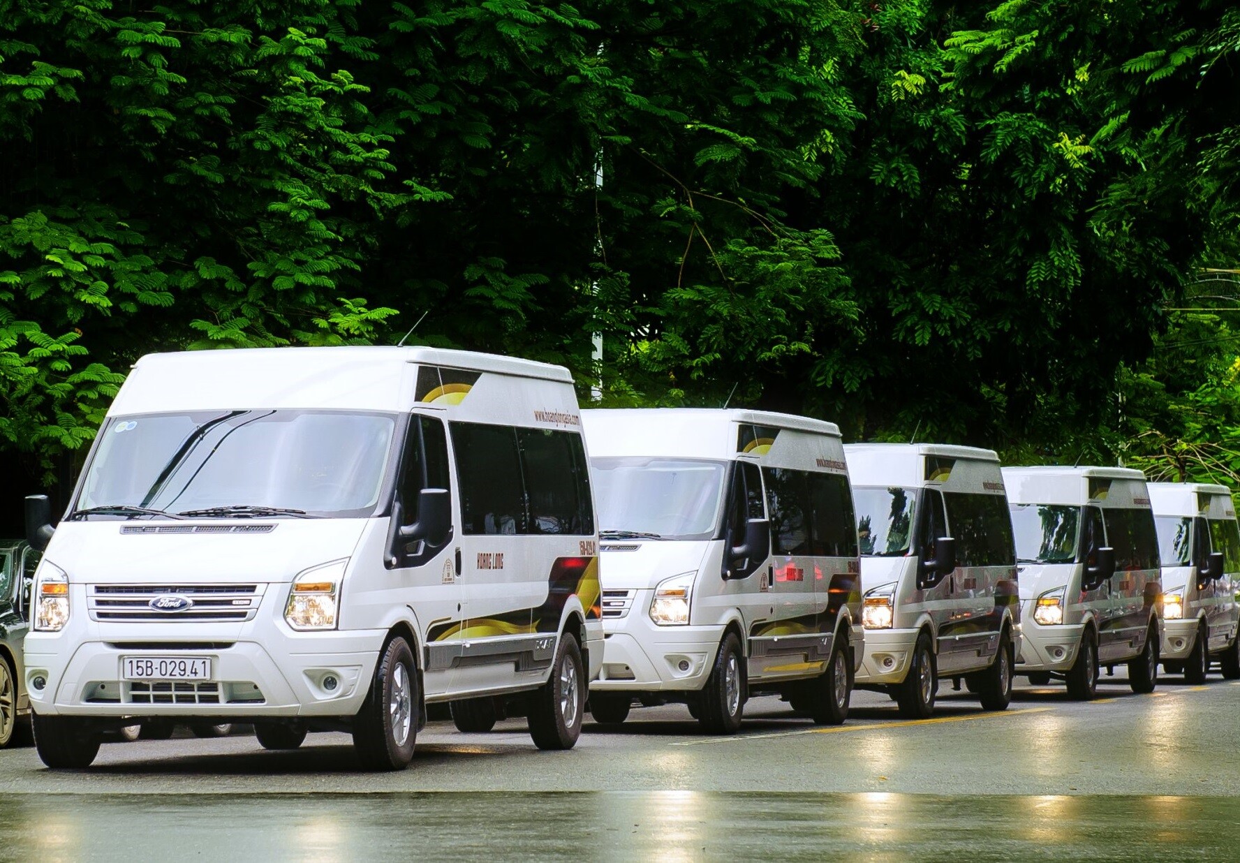 Danang to My Son Sanctuary by private car 3