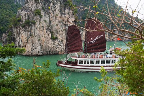 Bai Tu Long Bay Swan cruise day tour 3