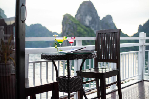 Bai Tu Long Bay Swan cruise day tour 11